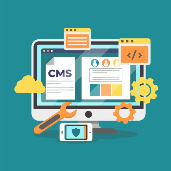 WordPress development company in Ludhiana — Punjab Tech Foundation